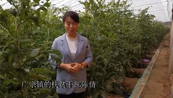 广宗新闻视频,聚焦本地热点，展现广宗风采